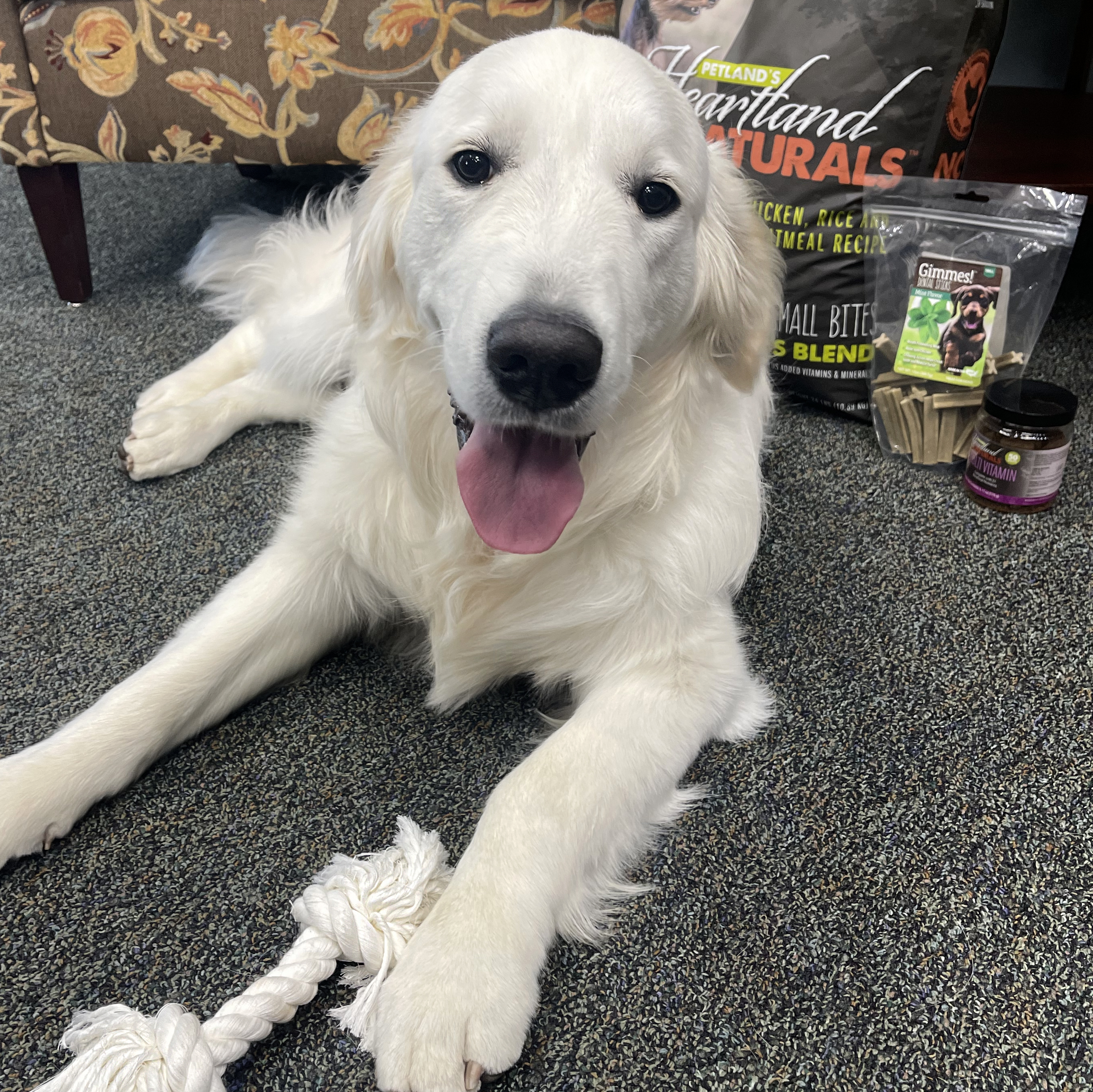 Petland's My ClubPet Subscription Image #4