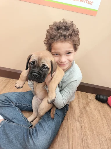 A child holding a puppy